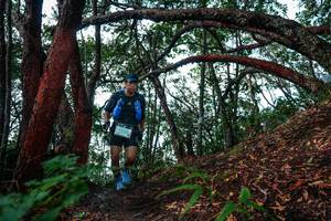 BIB: 
                            <button type="button" onclick="openModal(26346195)" class="btn btn-primary btn-sm float-right btn-popup" data-toggle="modal" data-target=".modal-high-quality">
                        <i class="fas fa-shopping-cart"></i> Add to Cart
                    </button>
                                            <button type="button" onclick="isThisMe(26346195, true)" class="btn btn-success btn-sm float-right btn-popup btn-isme hidden" data-toggle="tooltip" data-placement="bottom" title="นี่คือรูปของคุณใช่ไหม คลิกที่นี่เพื่อเอาเข้าอัลบั้ม">
                        <i class="fas fa-plus"></i> Add to album
                    </button>
                    <button type="button" onclick="isThisMe(26346195, false)" class="btn btn-warning btn-sm float-right btn-popup btn-isnotme hidden">
                        <i class="fas fa-ban"></i> Remove from album
                    </button>